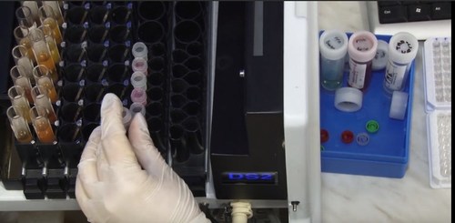 Video5